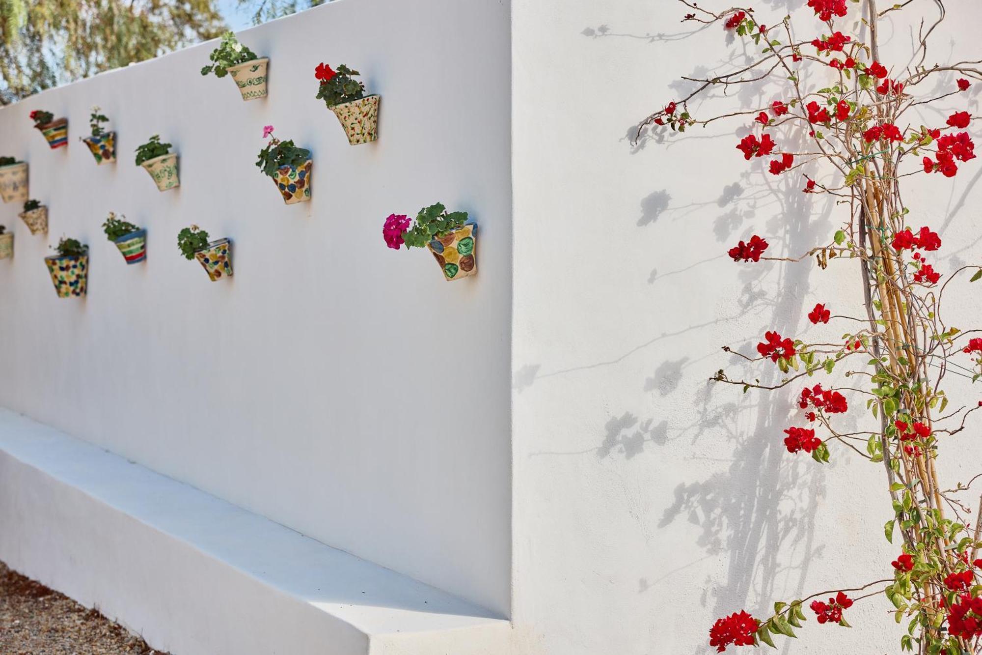Farm stay Cortijo La Loma By Olivencia *